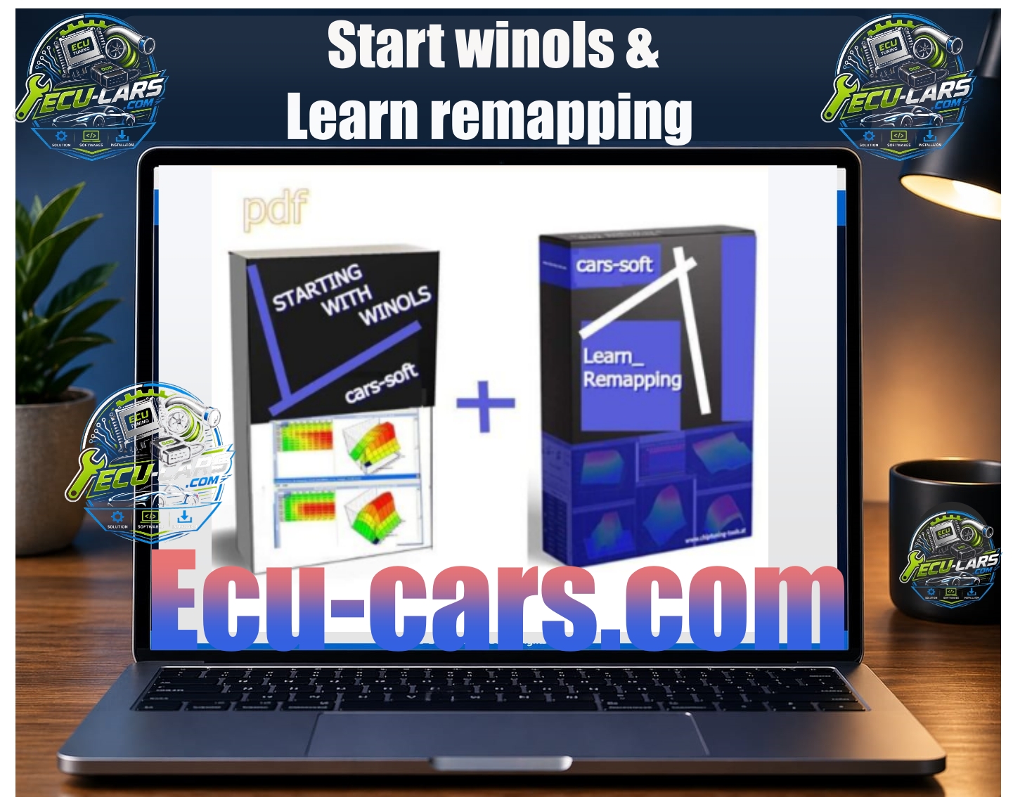 Start winols + Learn remapping