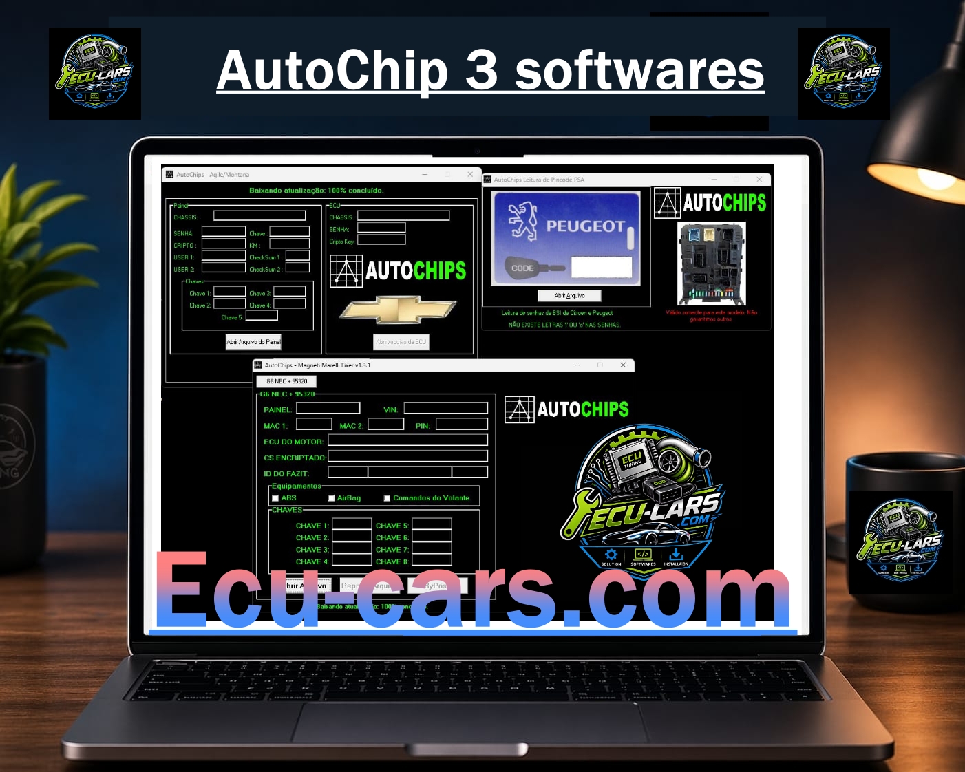 autochip 3 softwares