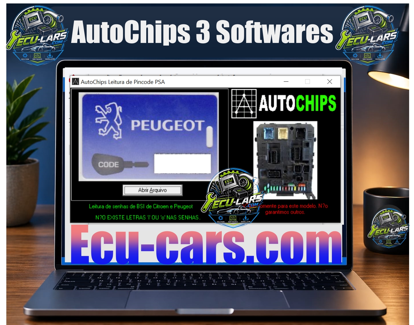 autochipp te33